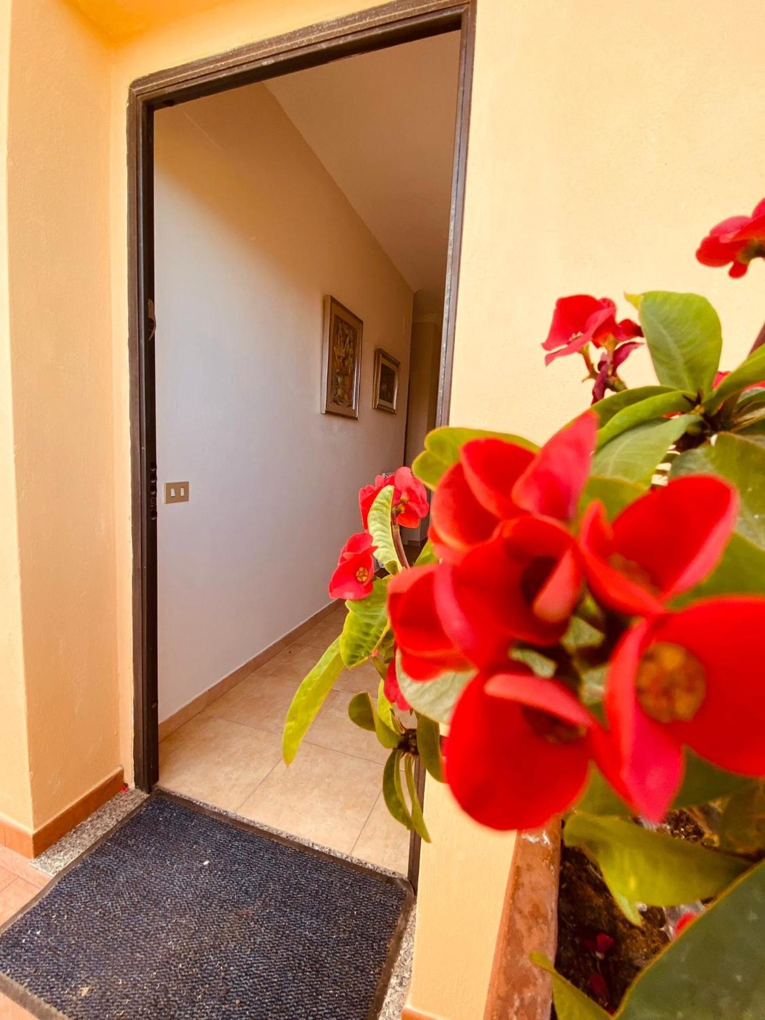 Villa Bella Vista Santa Domenica  Εξωτερικό φωτογραφία