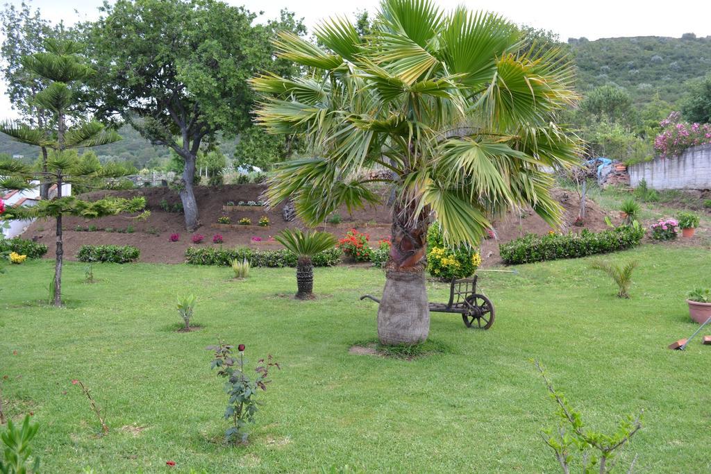 Villa Bella Vista Santa Domenica  Δωμάτιο φωτογραφία